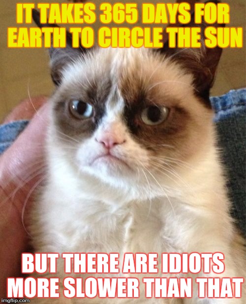 Grumpy Cat | IT TAKES 365 DAYS FOR EARTH TO CIRCLE THE SUN; BUT THERE ARE IDIOTS MORE SLOWER THAN THAT | image tagged in memes,grumpy cat,funny,idiot | made w/ Imgflip meme maker