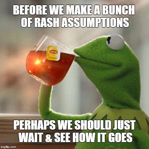 Comment Post | BEFORE WE MAKE A BUNCH OF RASH ASSUMPTIONS PERHAPS WE SHOULD JUST WAIT & SEE HOW IT GOES | image tagged in memes,but thats none of my business,kermit the frog | made w/ Imgflip meme maker