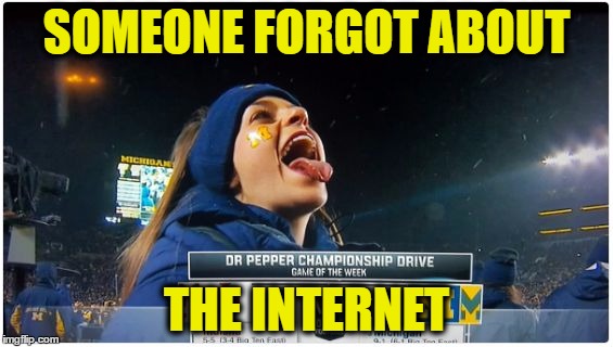 SOMEONE FORGOT ABOUT; THE INTERNET | image tagged in open mouthed michigan fan | made w/ Imgflip meme maker
