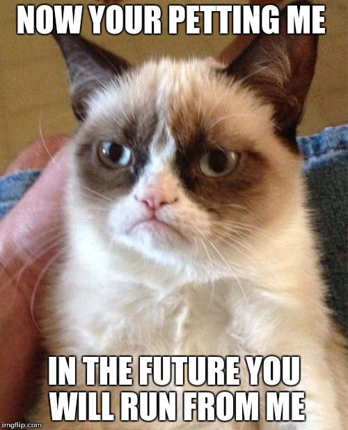 Grumpy Cat Meme | NOW YOUR PETTING ME; IN THE FUTURE YOU WILL RUN FROM ME | image tagged in memes,grumpy cat | made w/ Imgflip meme maker