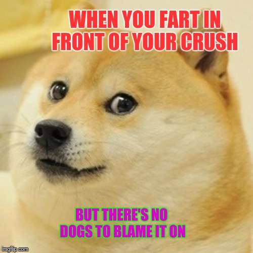 Doge | WHEN YOU FART IN FRONT OF YOUR CRUSH; BUT THERE'S NO DOGS TO BLAME IT ON | image tagged in memes,doge | made w/ Imgflip meme maker