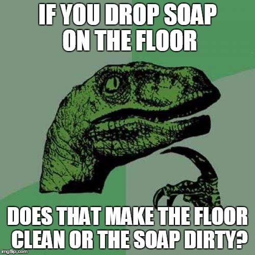 Philosoraptor | IF YOU DROP SOAP ON THE FLOOR; DOES THAT MAKE THE FLOOR CLEAN OR THE SOAP DIRTY? | image tagged in memes,philosoraptor | made w/ Imgflip meme maker