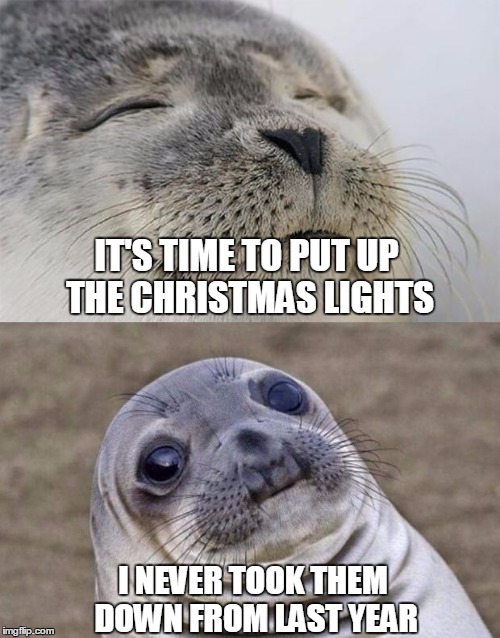 Short Satisfaction VS Truth | IT'S TIME TO PUT UP THE CHRISTMAS LIGHTS; I NEVER TOOK THEM DOWN FROM LAST YEAR | image tagged in memes,short satisfaction vs truth | made w/ Imgflip meme maker