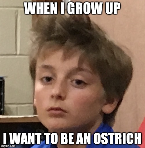 When I grow up... | WHEN I GROW UP; I WANT TO BE AN OSTRICH | image tagged in ostrich kid,lol,dat hair doh | made w/ Imgflip meme maker