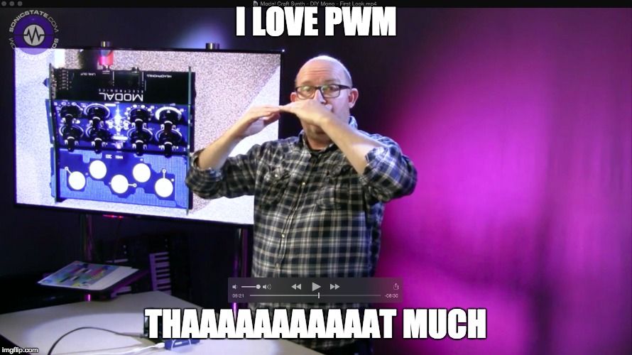 I LOVE PWM; THAAAAAAAAAAAT MUCH | image tagged in sonic | made w/ Imgflip meme maker