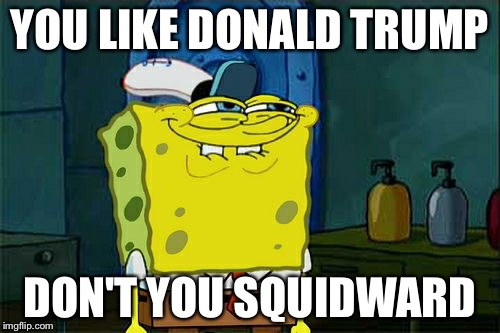 Don't You Squidward | YOU LIKE DONALD TRUMP; DON'T YOU SQUIDWARD | image tagged in memes,dont you squidward | made w/ Imgflip meme maker