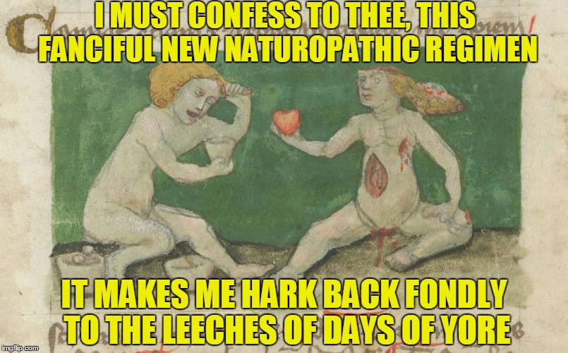 I feel queasy - perhaps the blood let is beyond necessary... | I MUST CONFESS TO THEE, THIS FANCIFUL NEW NATUROPATHIC REGIMEN; IT MAKES ME HARK BACK FONDLY TO THE LEECHES OF DAYS OF YORE | image tagged in memes,medieval,medieval musings,medieval memes,historical | made w/ Imgflip meme maker