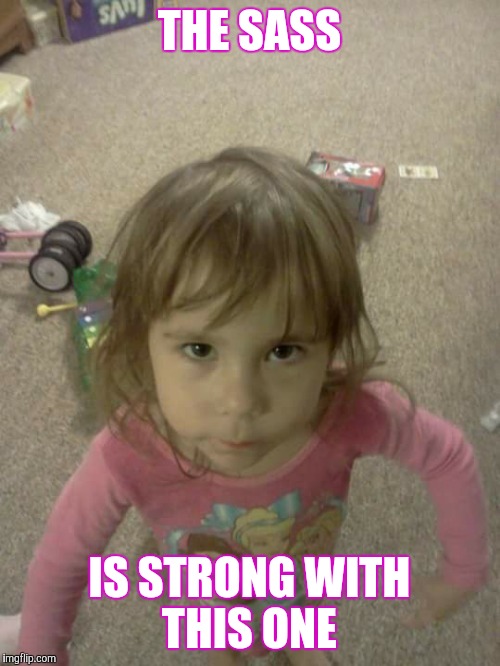 THE SASS; IS STRONG WITH THIS ONE | image tagged in sassyness | made w/ Imgflip meme maker