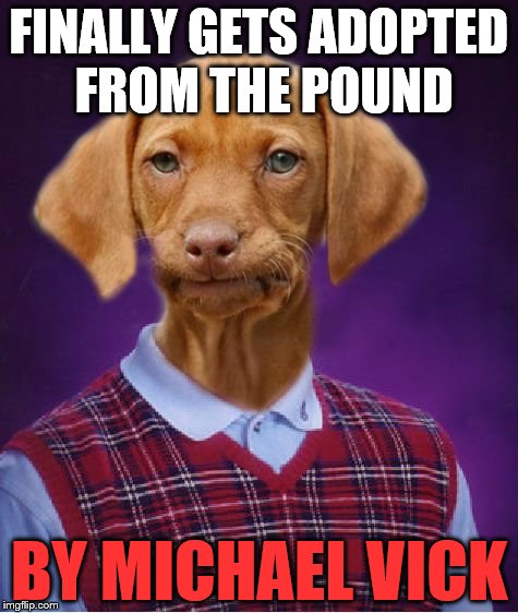 Bad Luck Raydog | FINALLY GETS ADOPTED FROM THE POUND; BY MICHAEL VICK | image tagged in bad luck raydog | made w/ Imgflip meme maker