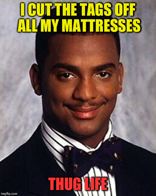 You might have to be over 30 to get this | I CUT THE TAGS OFF ALL MY MATTRESSES; THUG LIFE | image tagged in carlton banks thug life | made w/ Imgflip meme maker