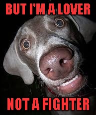 BUT I'M A LOVER NOT A FIGHTER | made w/ Imgflip meme maker