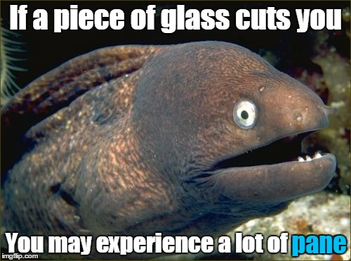 Bad Joke Eel | If a piece of glass cuts you; You may experience a lot of pane; pane | image tagged in memes,bad joke eel,trhtimmy | made w/ Imgflip meme maker