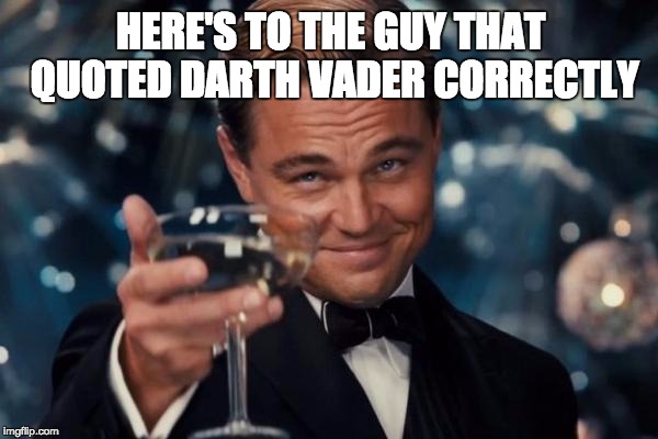 Leonardo Dicaprio Cheers Meme | HERE'S TO THE GUY THAT QUOTED DARTH VADER CORRECTLY | image tagged in memes,leonardo dicaprio cheers | made w/ Imgflip meme maker