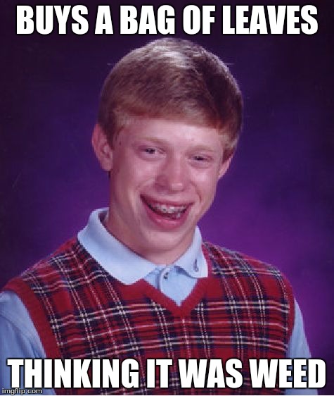 Bad Luck Brian Meme | BUYS A BAG OF LEAVES; THINKING IT WAS WEED | image tagged in memes,bad luck brian | made w/ Imgflip meme maker
