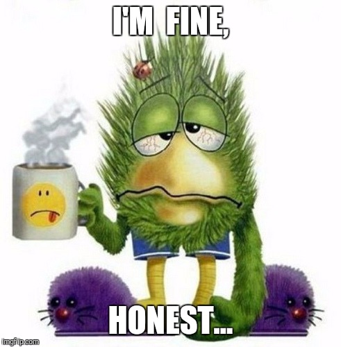 I'M  FINE, HONEST... | image tagged in sickbed,that feeling when | made w/ Imgflip meme maker
