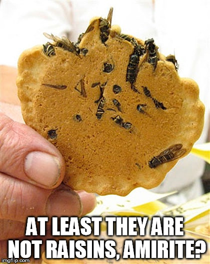 Better than oatmeal | AT LEAST THEY ARE NOT RAISINS, AMIRITE? | image tagged in oatmeal raisin cookie nasty bugs are better bad cook | made w/ Imgflip meme maker