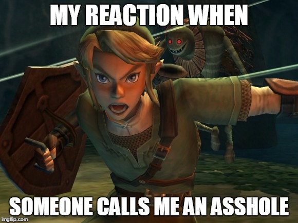 I made this face when someone called me an a**hole. You might do the same. | MY REACTION WHEN; SOMEONE CALLS ME AN ASSHOLE | image tagged in link legend of zelda yelling,what did you say,link,when someone calls me an asshole | made w/ Imgflip meme maker