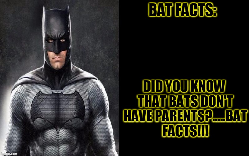 BAT-FACTS | BAT FACTS:; DID YOU KNOW THAT BATS DON'T HAVE PARENTS?.....BAT FACTS!!! | image tagged in dc comics,batman,batfleck,no fucks given | made w/ Imgflip meme maker