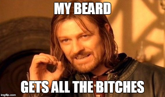 One Does Not Simply Meme | MY BEARD GETS ALL THE B**CHES | image tagged in memes,one does not simply | made w/ Imgflip meme maker