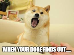 WHEN YOUR DOGE FINDS OUT..... | image tagged in surprise,doge | made w/ Imgflip meme maker