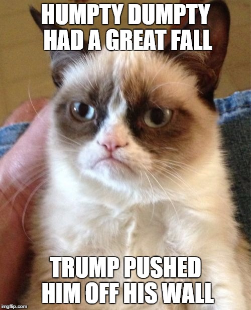 Grumpy Cat | HUMPTY DUMPTY HAD A GREAT FALL; TRUMP PUSHED HIM OFF HIS WALL | image tagged in memes,grumpy cat | made w/ Imgflip meme maker