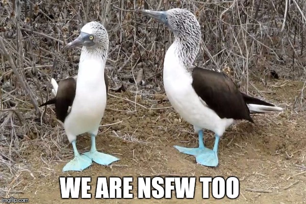 WE ARE NSFW TOO | made w/ Imgflip meme maker