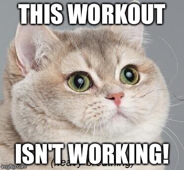 Heavy Breathing Cat Meme | THIS WORKOUT; ISN'T WORKING! | image tagged in memes,heavy breathing cat | made w/ Imgflip meme maker