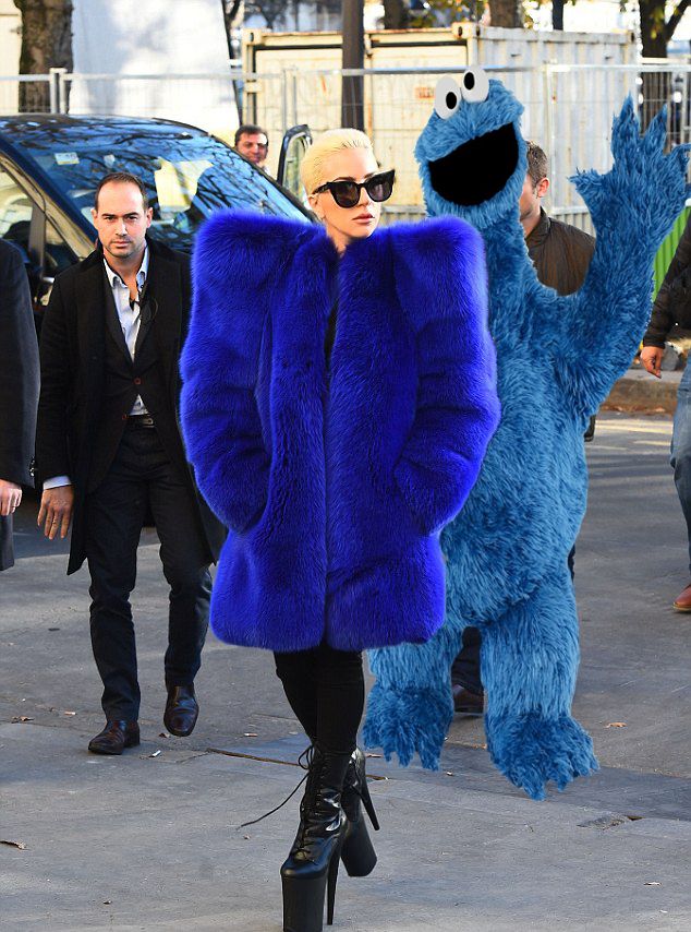 Lady Gaga and Cookie Monster Blank Meme Template
