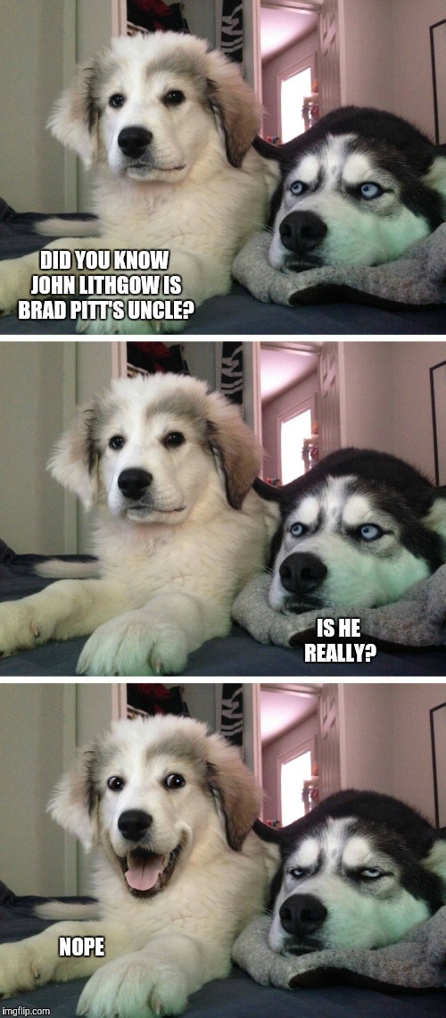 Bad pun dogs | DID YOU KNOW JOHN LITHGOW IS BRAD PITT'S UNCLE? IS HE REALLY? NOPE | image tagged in bad pun dogs | made w/ Imgflip meme maker