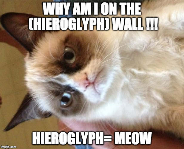 Grumpy Cat | WHY AM I ON THE (HIEROGLYPH) WALL !!! HIEROGLYPH= MEOW | image tagged in memes,grumpy cat | made w/ Imgflip meme maker