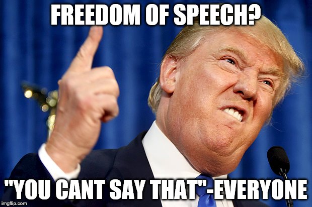 Donald Trump | FREEDOM OF SPEECH? "YOU CANT SAY THAT"-EVERYONE | image tagged in donald trump | made w/ Imgflip meme maker