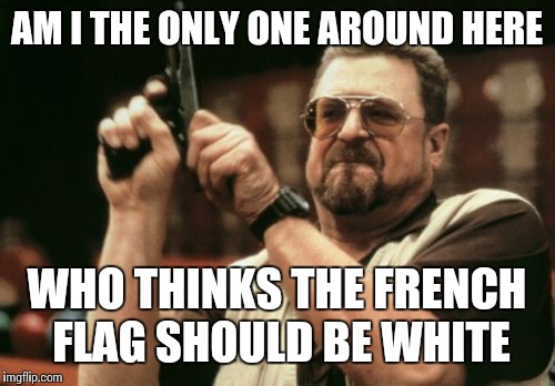 Am I The Only One Around Here | AM I THE ONLY ONE AROUND HERE; WHO THINKS THE FRENCH FLAG SHOULD BE WHITE | image tagged in memes,am i the only one around here | made w/ Imgflip meme maker