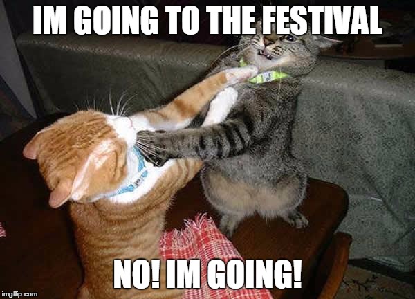 Two cats fighting for real | IM GOING TO THE FESTIVAL; NO! IM GOING! | image tagged in two cats fighting for real | made w/ Imgflip meme maker
