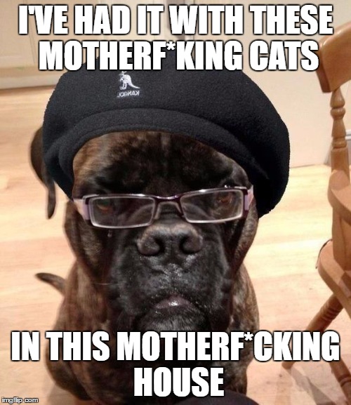 Samuel L Dogson | I'VE HAD IT WITH THESE MOTHERF*KING CATS; IN THIS MOTHERF*CKING HOUSE | image tagged in samuel l dogson | made w/ Imgflip meme maker