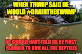 Trump_reptiles | WHEN TRUMP SAID HE WOULD #DRAINTHESWAMP; HE SHOULD HAVE TOLD US HE FIRST PLANNED TO HIRE ALL THE REPTILES | image tagged in trump | made w/ Imgflip meme maker