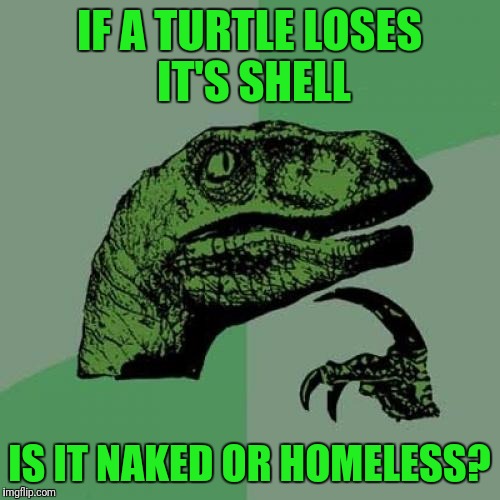 Philosoraptor | IF A TURTLE LOSES IT'S SHELL; IS IT NAKED OR HOMELESS? | image tagged in memes,philosoraptor | made w/ Imgflip meme maker