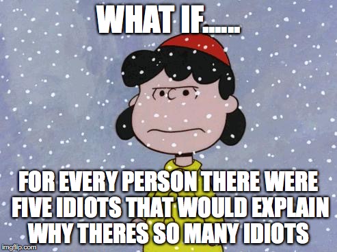 madsnowlucy | WHAT IF...... FOR EVERY PERSON THERE WERE FIVE IDIOTS THAT WOULD EXPLAIN WHY THERES SO MANY IDIOTS | image tagged in madsnowlucy | made w/ Imgflip meme maker