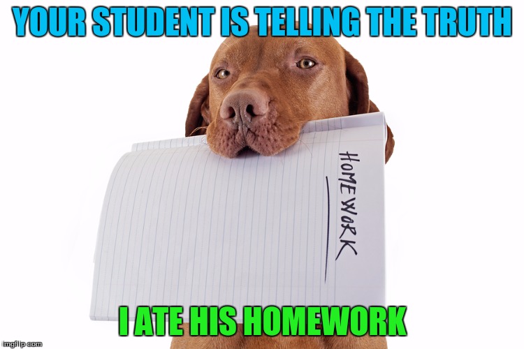 Dog Ate Homework | YOUR STUDENT IS TELLING THE TRUTH; I ATE HIS HOMEWORK | image tagged in dog ate homework | made w/ Imgflip meme maker