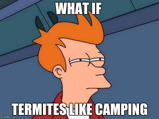 Futurama Fry | WHAT IF; TERMITES LIKE CAMPING | image tagged in memes,futurama fry | made w/ Imgflip meme maker