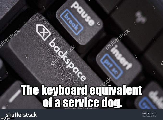 Delete it too late ... backspace is just right. | The keyboard equivalent of a service dog. | image tagged in backspace,memes,saving | made w/ Imgflip meme maker