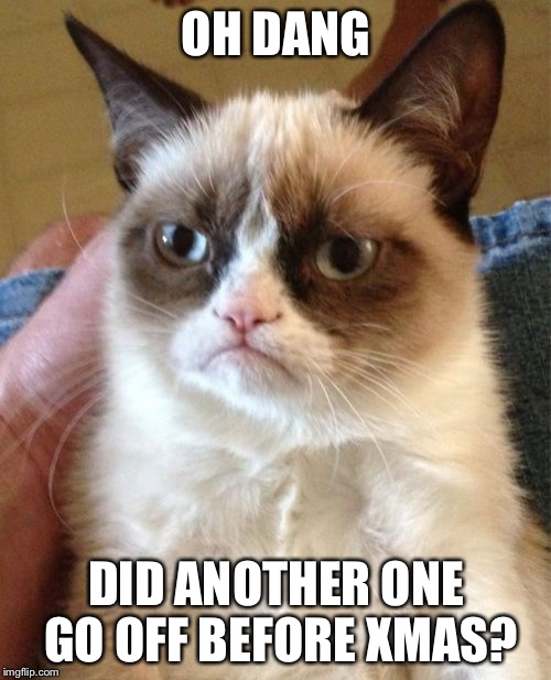 Grumpy Cat Meme | OH DANG DID ANOTHER ONE GO OFF BEFORE XMAS? | image tagged in memes,grumpy cat | made w/ Imgflip meme maker