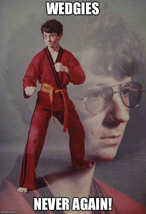 Karate Kyle | WEDGIES; NEVER AGAIN! | image tagged in memes,karate kyle | made w/ Imgflip meme maker