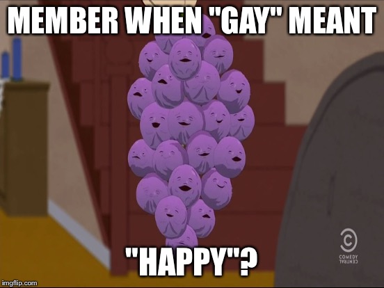 MEMBER WHEN "GAY" MEANT "HAPPY"? | made w/ Imgflip meme maker