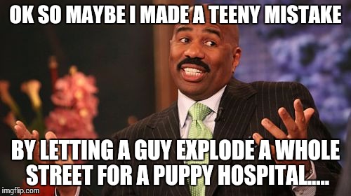 Steve Harvey | OK SO MAYBE I MADE A TEENY MISTAKE; BY LETTING A GUY EXPLODE A WHOLE STREET FOR A PUPPY HOSPITAL..... | image tagged in memes,steve harvey | made w/ Imgflip meme maker