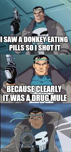Bad Pun-isher | I SAW A DONKEY EATING PILLS SO I SHOT IT; BECAUSE CLEARLY IT WAS A DRUG MULE | image tagged in bad pun-isher,memes,marvel,marvel comics,punisher | made w/ Imgflip meme maker