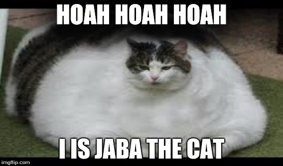 Jaba the cat | HOAH HOAH HOAH; I IS JABA THE CAT | image tagged in jaba the cat | made w/ Imgflip meme maker