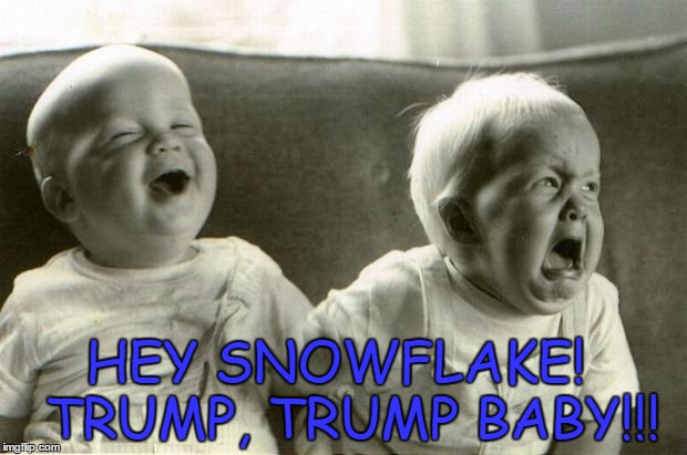 HappySadBabies | HEY SNOWFLAKE!  TRUMP, TRUMP BABY!!! | image tagged in happysadbabies | made w/ Imgflip meme maker