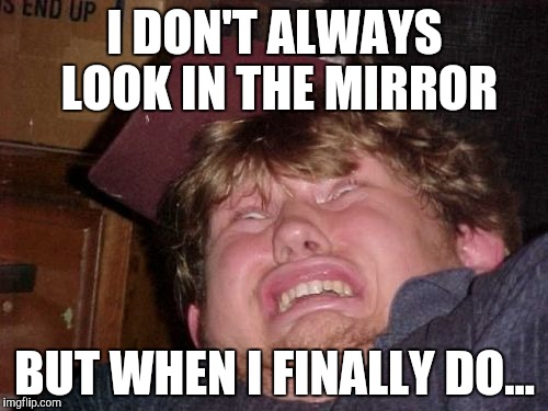 WTF Meme | I DON'T ALWAYS LOOK IN THE MIRROR; BUT WHEN I FINALLY DO... | image tagged in memes,wtf | made w/ Imgflip meme maker