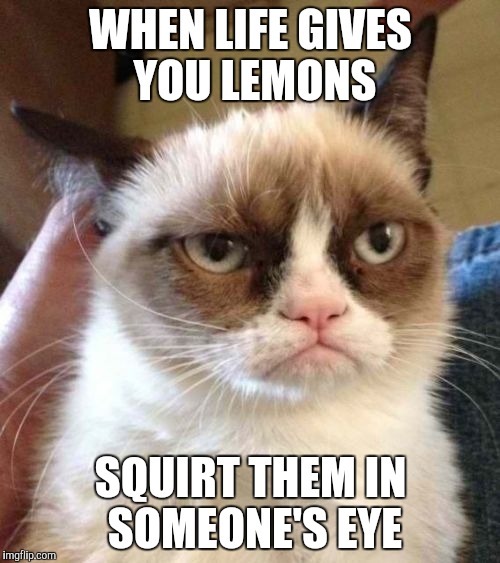 Grumpy Cat Reverse | WHEN LIFE GIVES YOU LEMONS; SQUIRT THEM IN SOMEONE'S EYE | image tagged in memes,grumpy cat reverse,grumpy cat | made w/ Imgflip meme maker