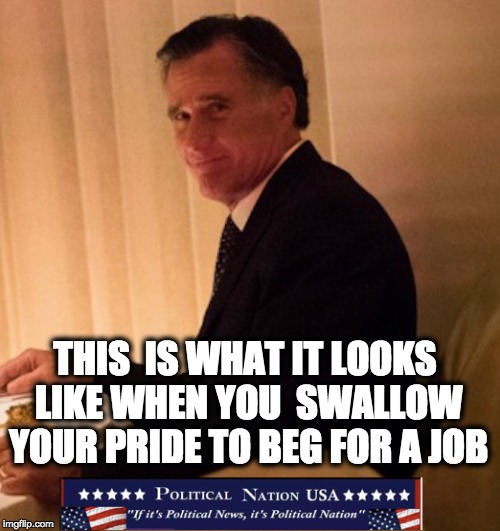 THIS  IS WHAT IT LOOKS LIKE WHEN YOU  SWALLOW YOUR PRIDE TO BEG FOR A JOB | image tagged in never trump | made w/ Imgflip meme maker